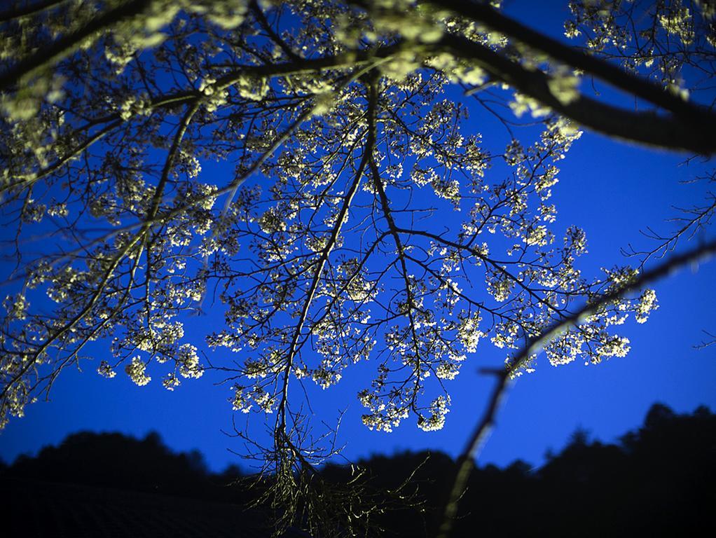 นันเท็นเอ็น Hotel Kawachinagano ภายนอก รูปภาพ